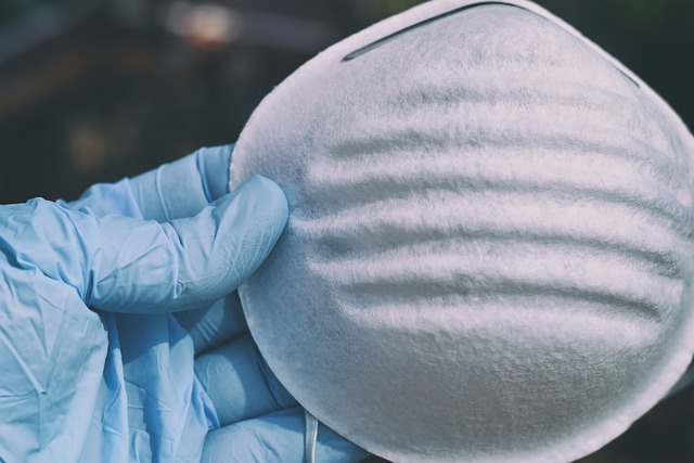 https://bnx.com/made-in-usa/n95-mask-respirators-kn95-face-masks/